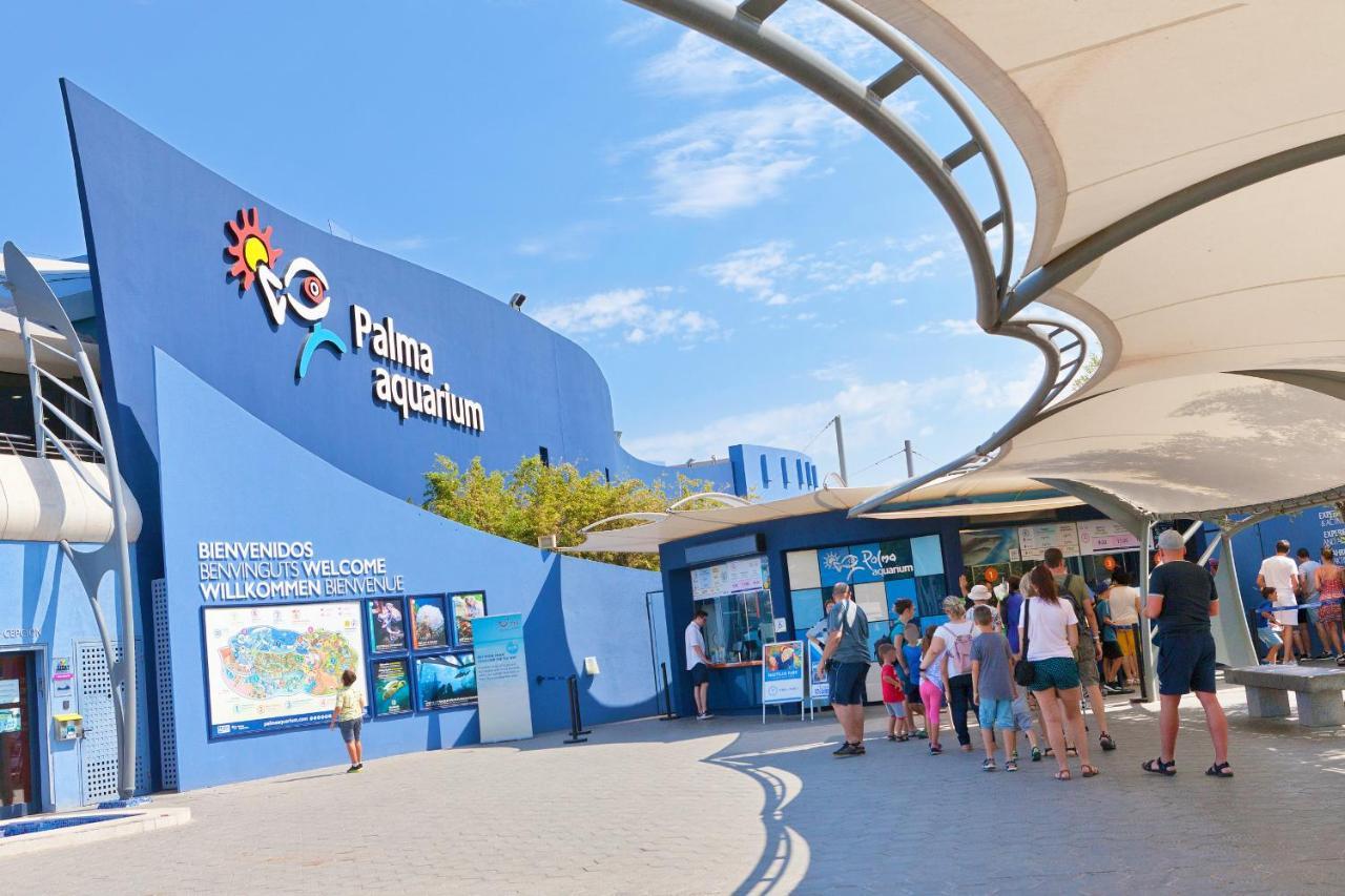 Villa Els Pins Ελ Αρενάλ Εξωτερικό φωτογραφία